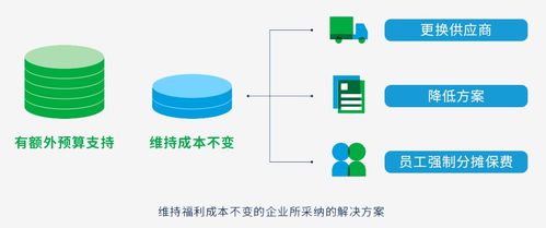 2020年高科技與互聯(lián)網(wǎng)行業(yè)員工福利洞察報(bào)告 聚焦互聯(lián)網(wǎng)技術(shù)開發(fā)人才